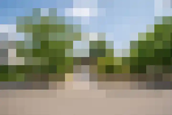 Deltalaan 21 Tilburg thumbnail 44