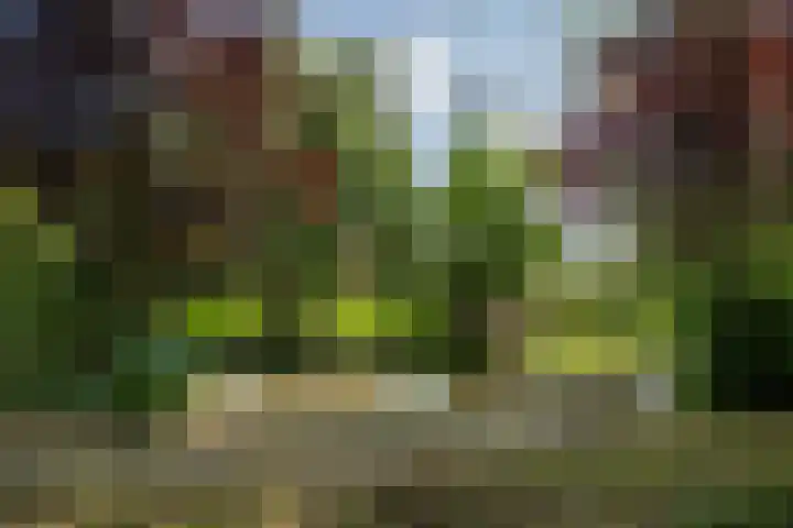 Deltalaan 21 Tilburg thumbnail 5