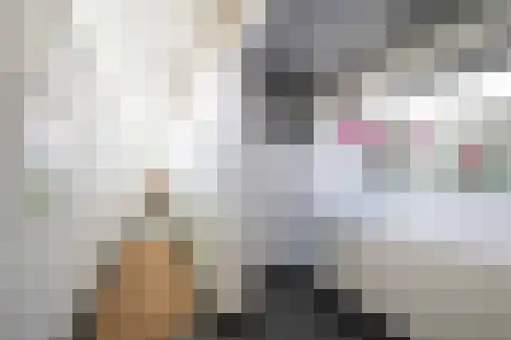 Deltalaan 21 Tilburg thumbnail 9
