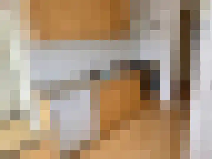 Deltalaan 212 Deventer thumbnail 11
