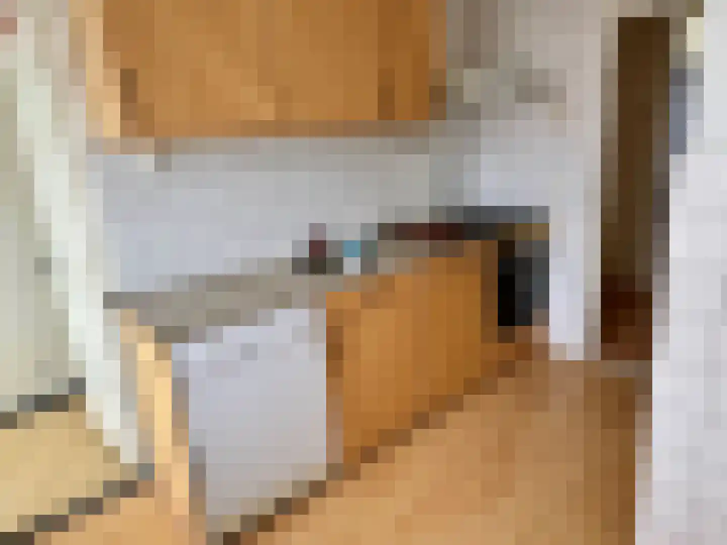 Deltalaan 212 Deventer thumbnail 12