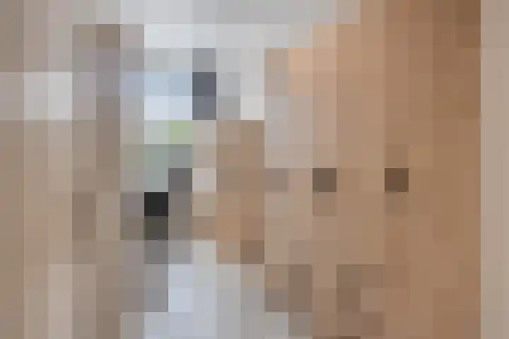 Deltalaan 214 Deventer thumbnail 25