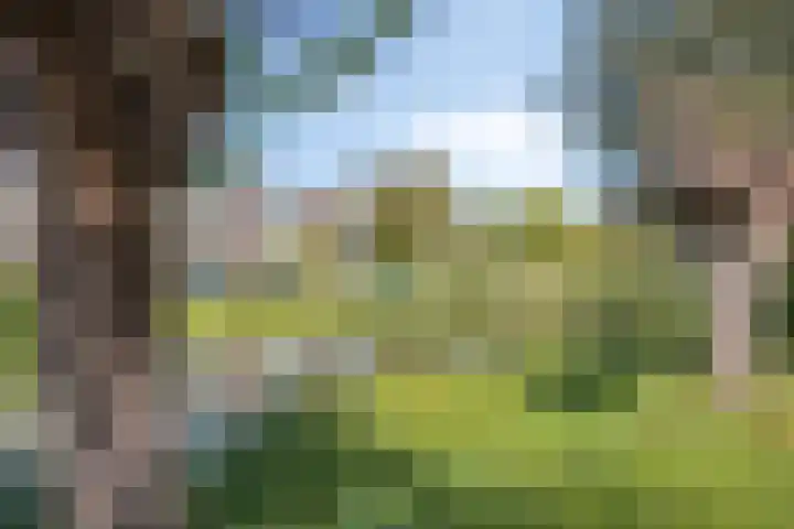Deltalaan 214 Deventer thumbnail 26