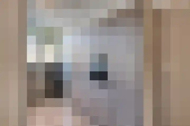 Deltalaan 214 Deventer thumbnail 8