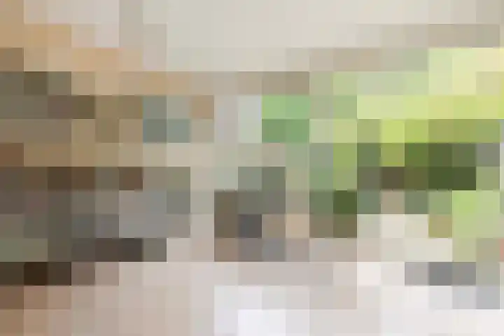 Deltalaan 248 Deventer thumbnail 15