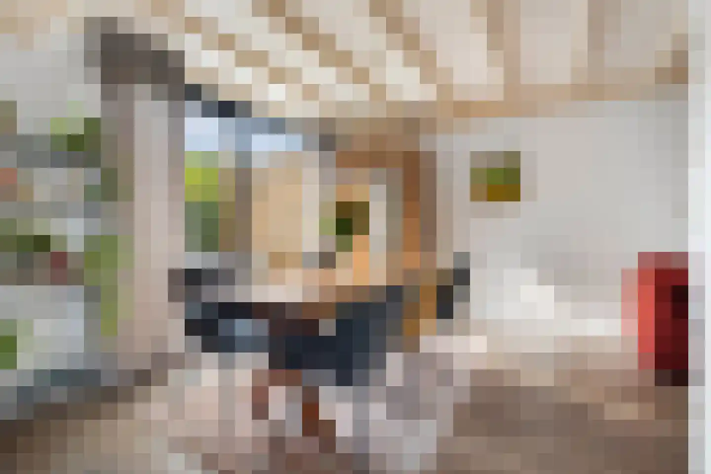 Deltalaan 3 Papenhoven thumbnail 12