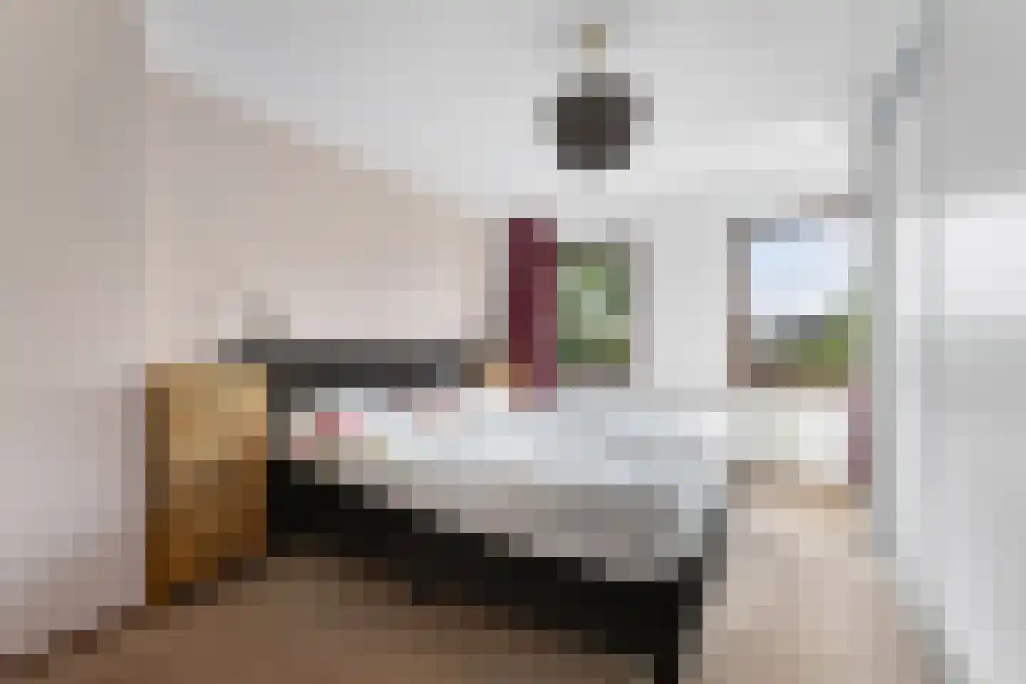 Deltalaan 3 Papenhoven thumbnail 16