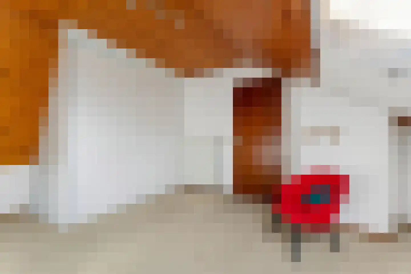 Deltalaan 3 Papenhoven thumbnail 21