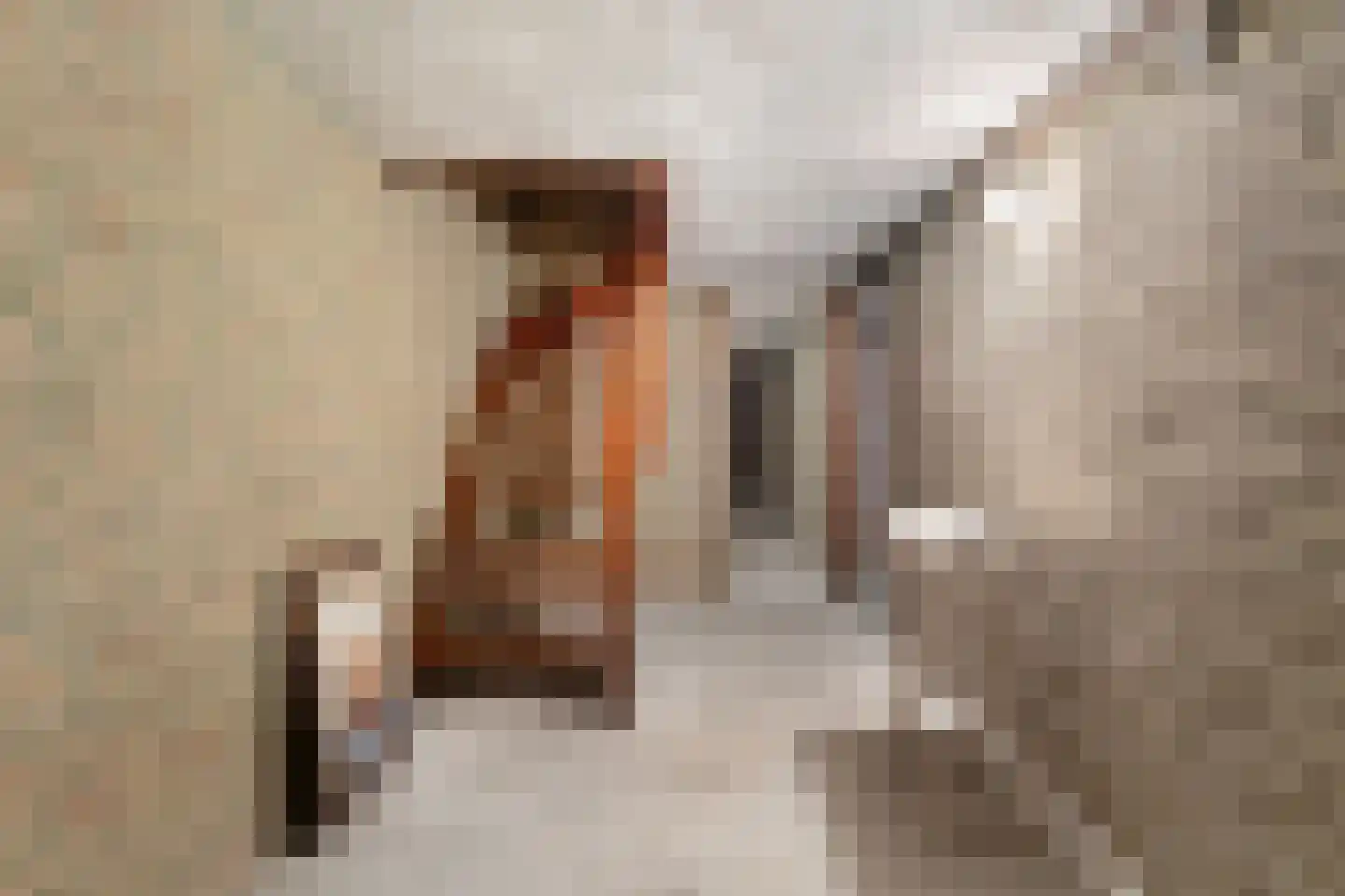 Deltalaan 3 Papenhoven thumbnail 23
