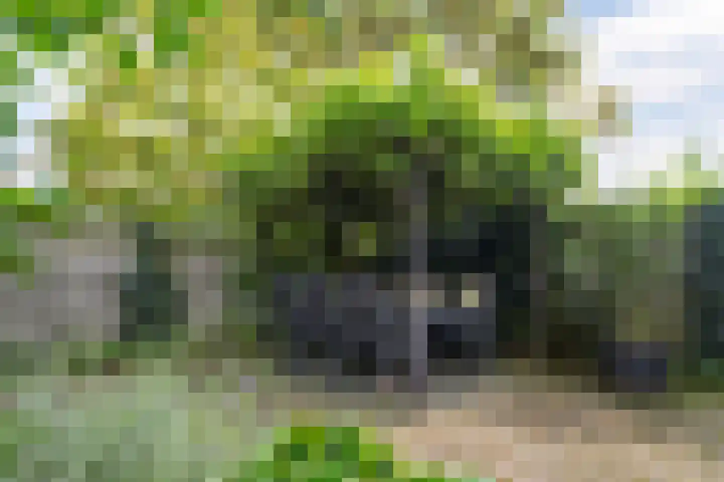 Deltalaan 3 Papenhoven thumbnail 25