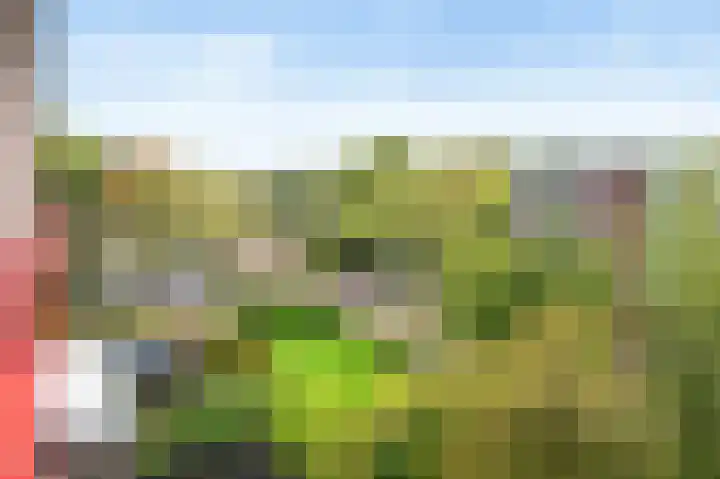 Deltalaan 39 Deventer thumbnail 11