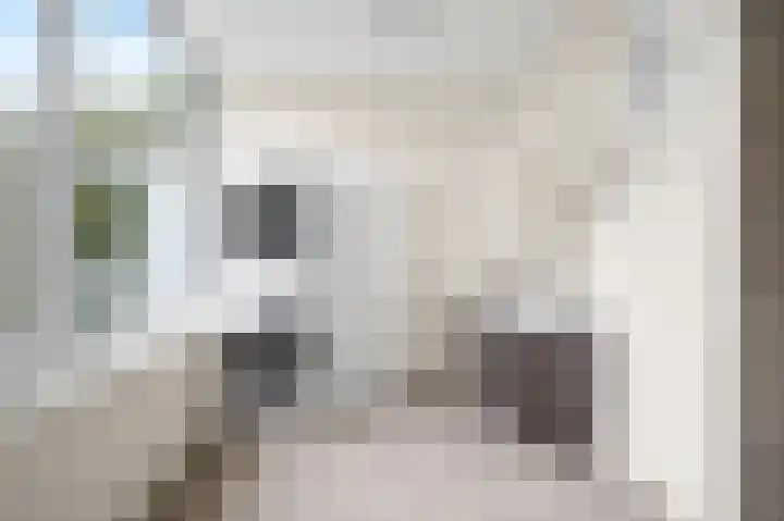 Deltalaan 39 Deventer thumbnail 13