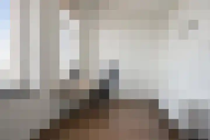 Deltalaan 42 Rosmalen thumbnail 21