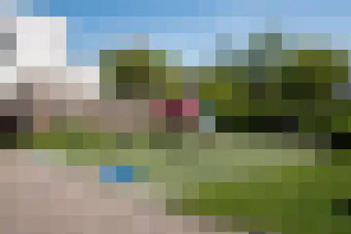 Deltalaan 42 Rosmalen thumbnail 31