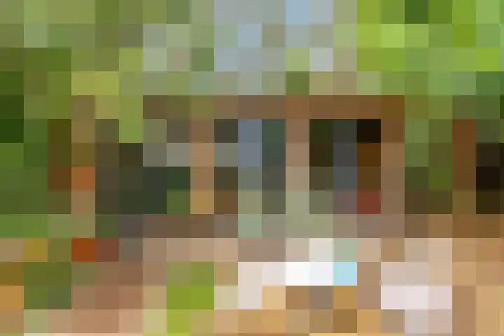 Deltalaan 42 Rosmalen thumbnail 35