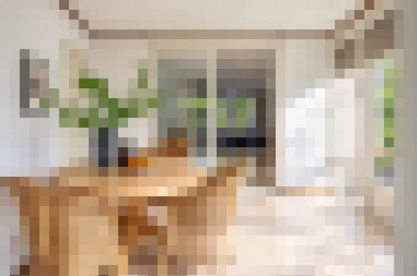 Deltalaan 6 Tilburg thumbnail 11