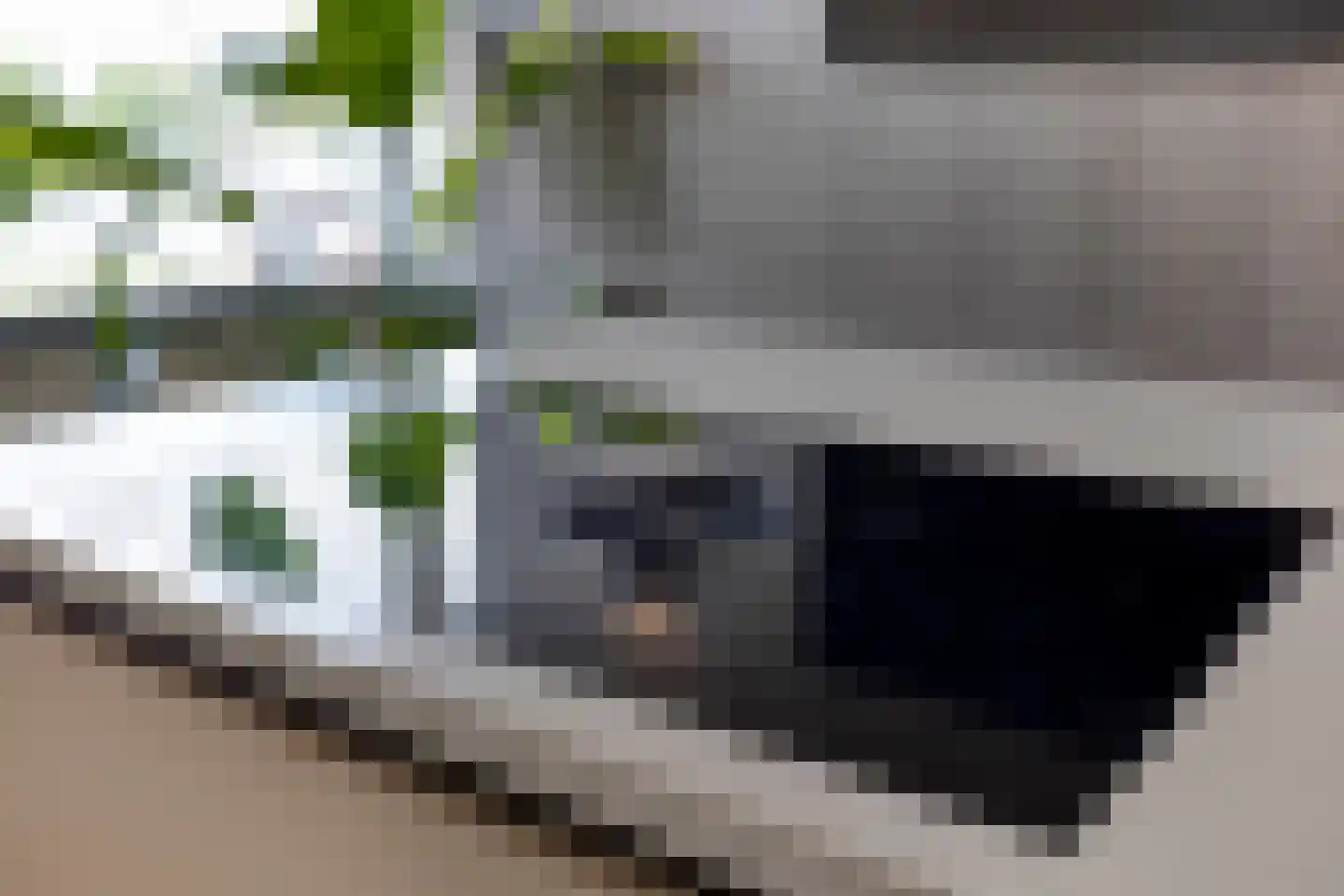 Deltalaan 8 Rosmalen thumbnail 10