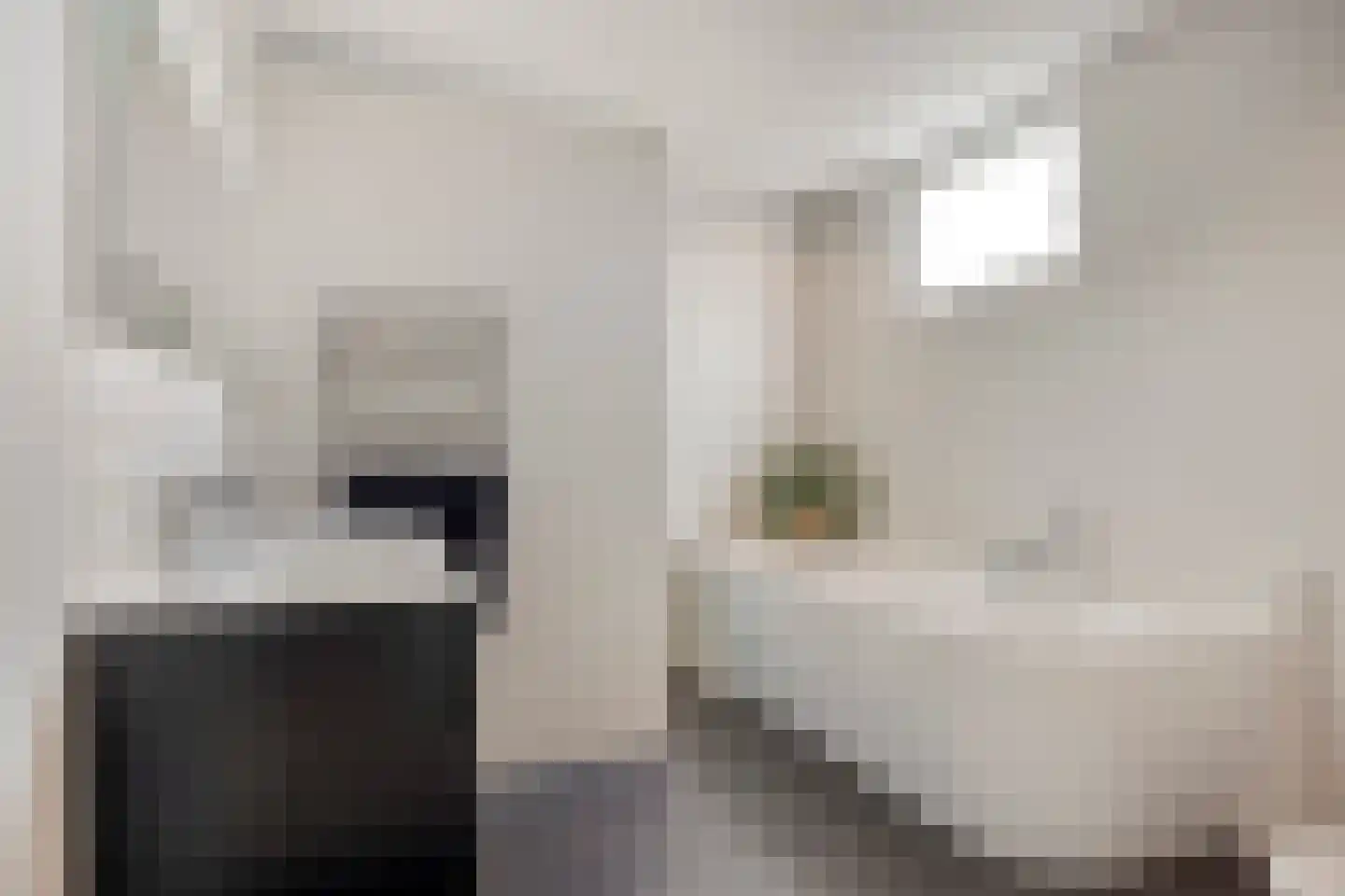 Deltalaan 8 Rosmalen thumbnail 25