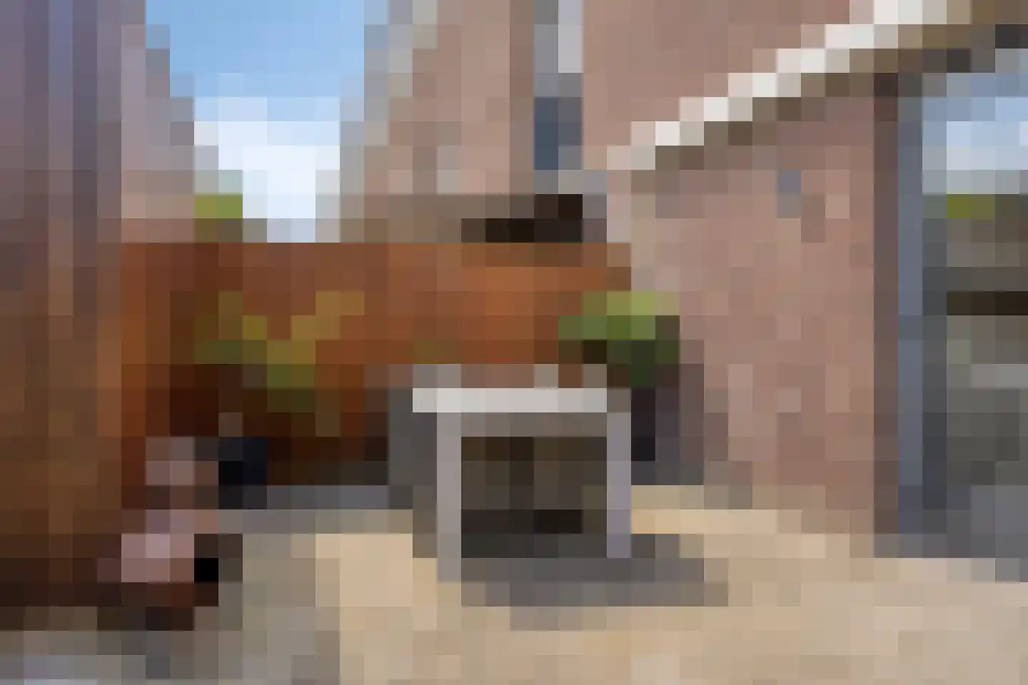 Deltalaan 8 Rosmalen thumbnail 40