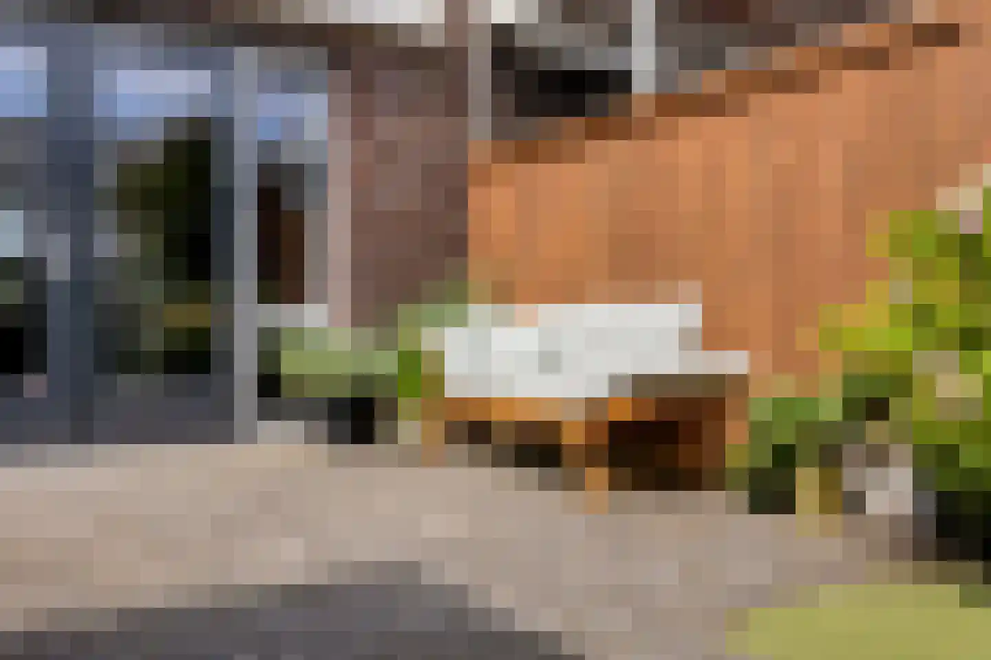 Deltalaan 8 Rosmalen thumbnail 41