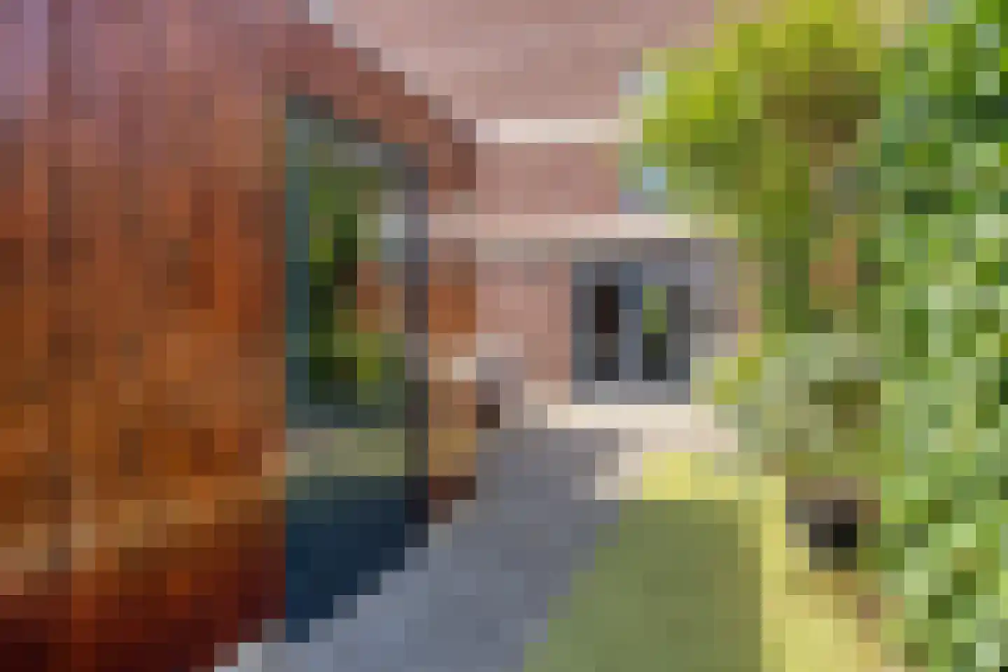 Deltalaan 8 Rosmalen thumbnail 43