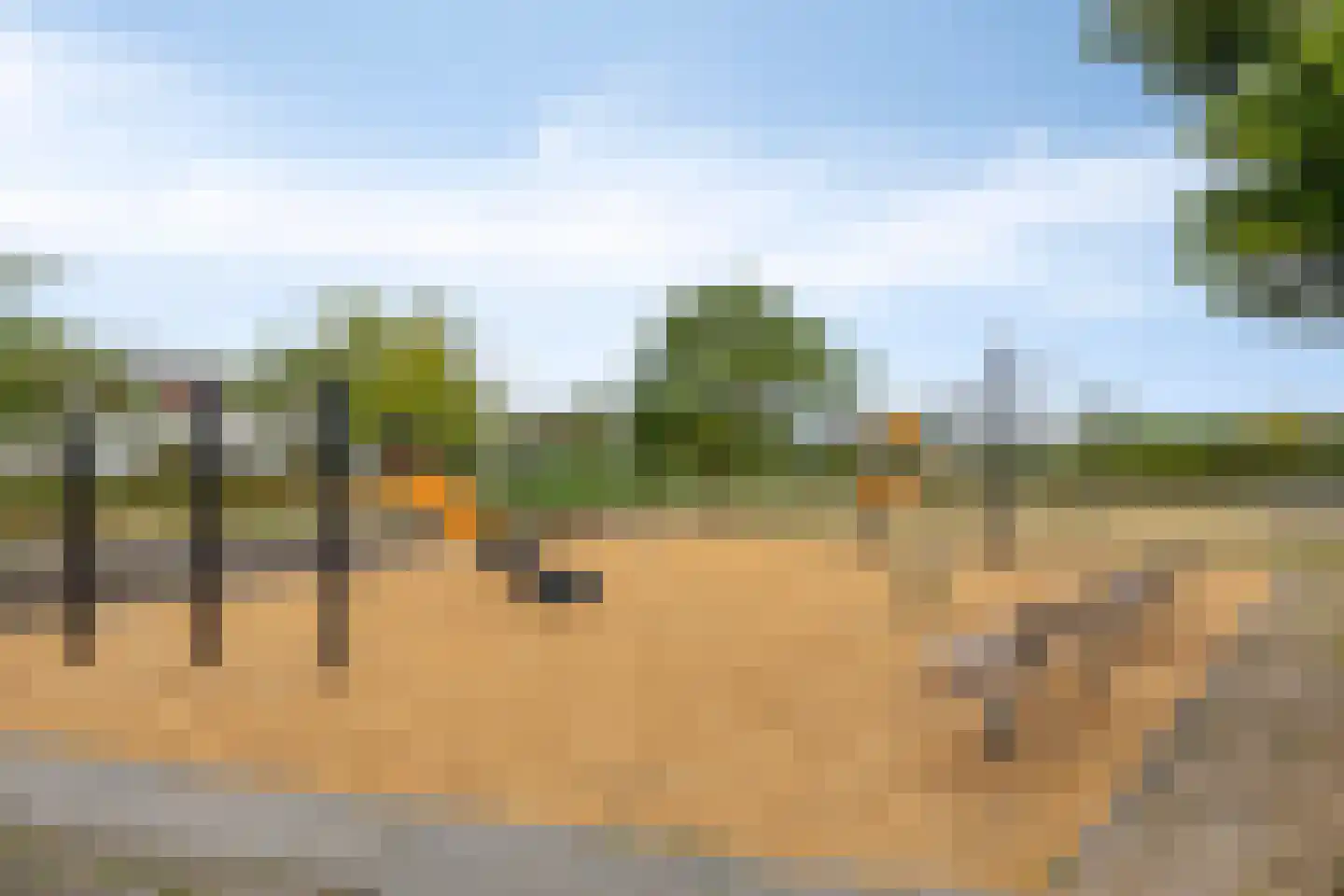 Deltalaan 8 Rosmalen thumbnail 49