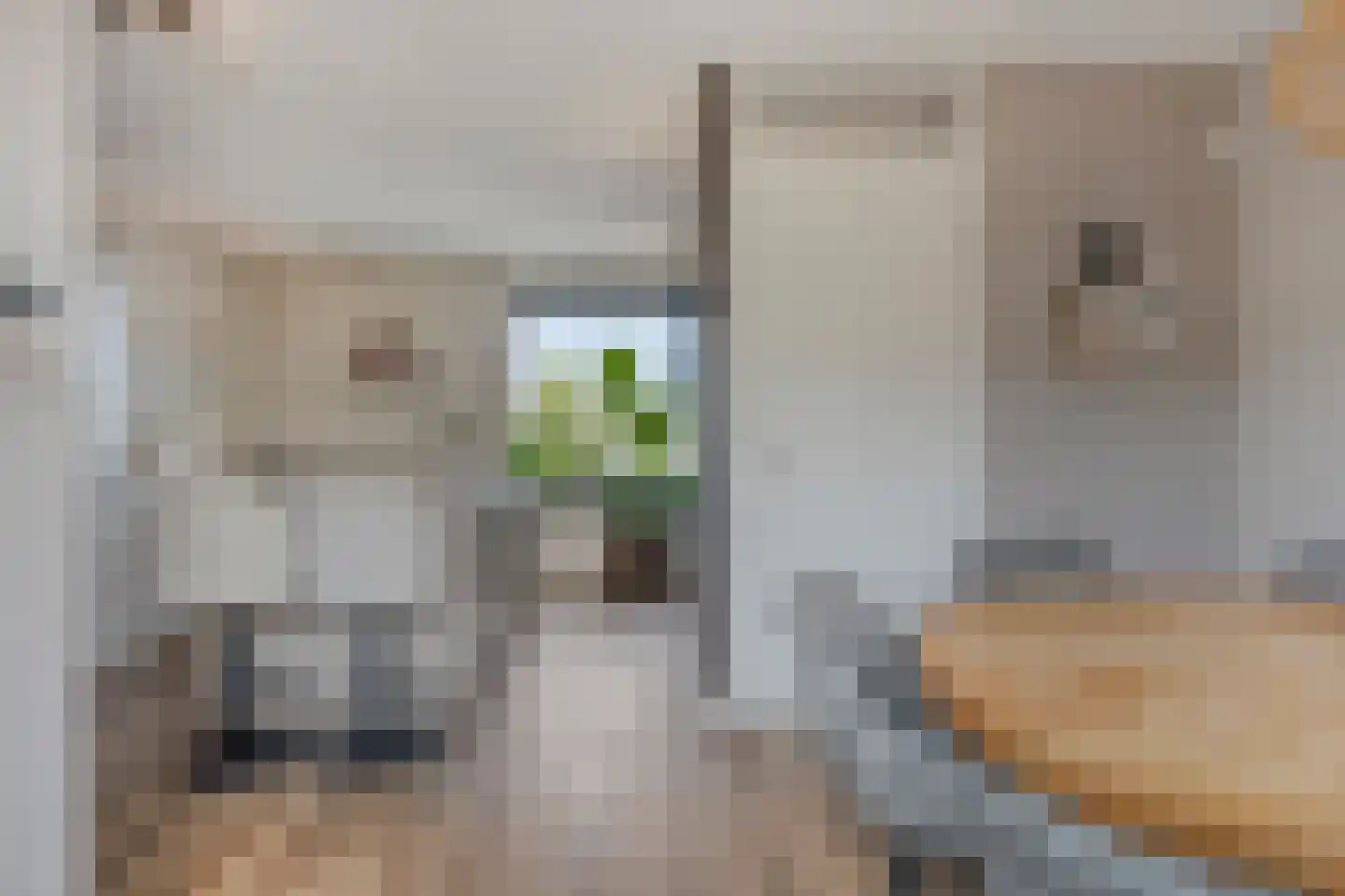 Deltalaan 8 Rosmalen thumbnail 7