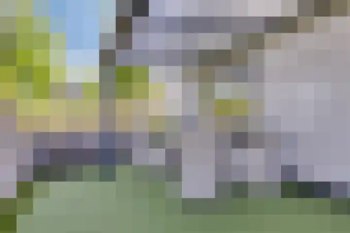 Deltapark 34 Rosmalen thumbnail 23