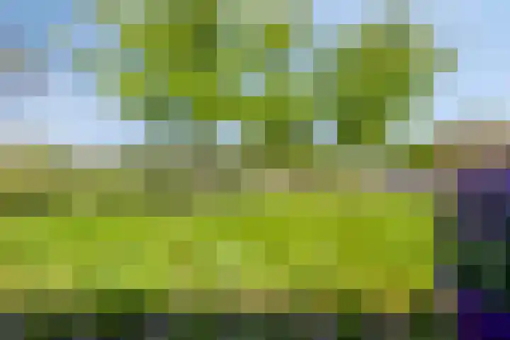 Deltapark 34 Rosmalen thumbnail 27
