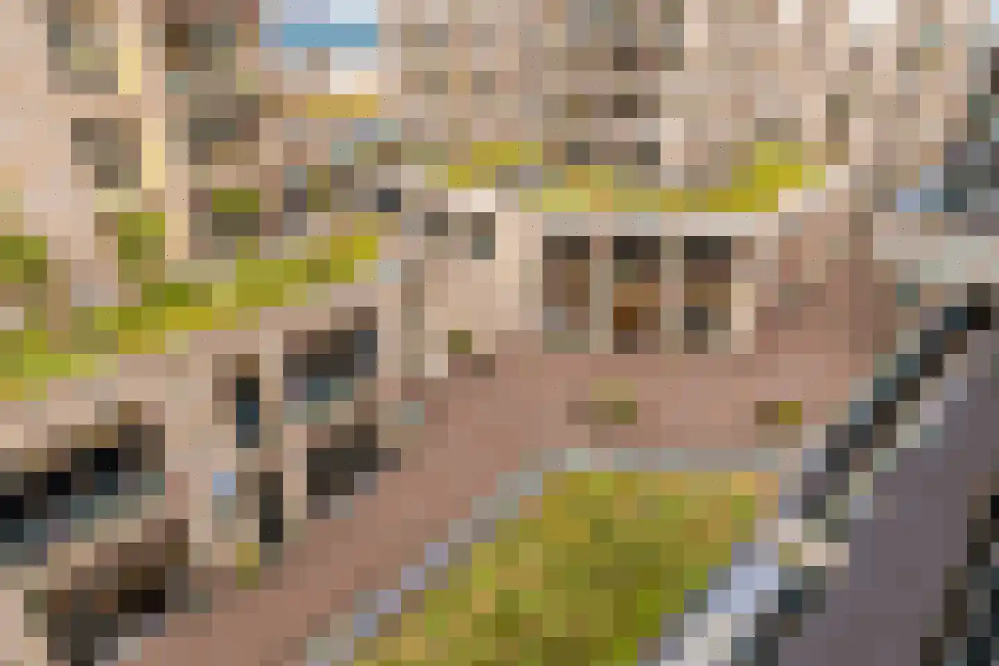 Deltaplein 340 Den Haag thumbnail 5