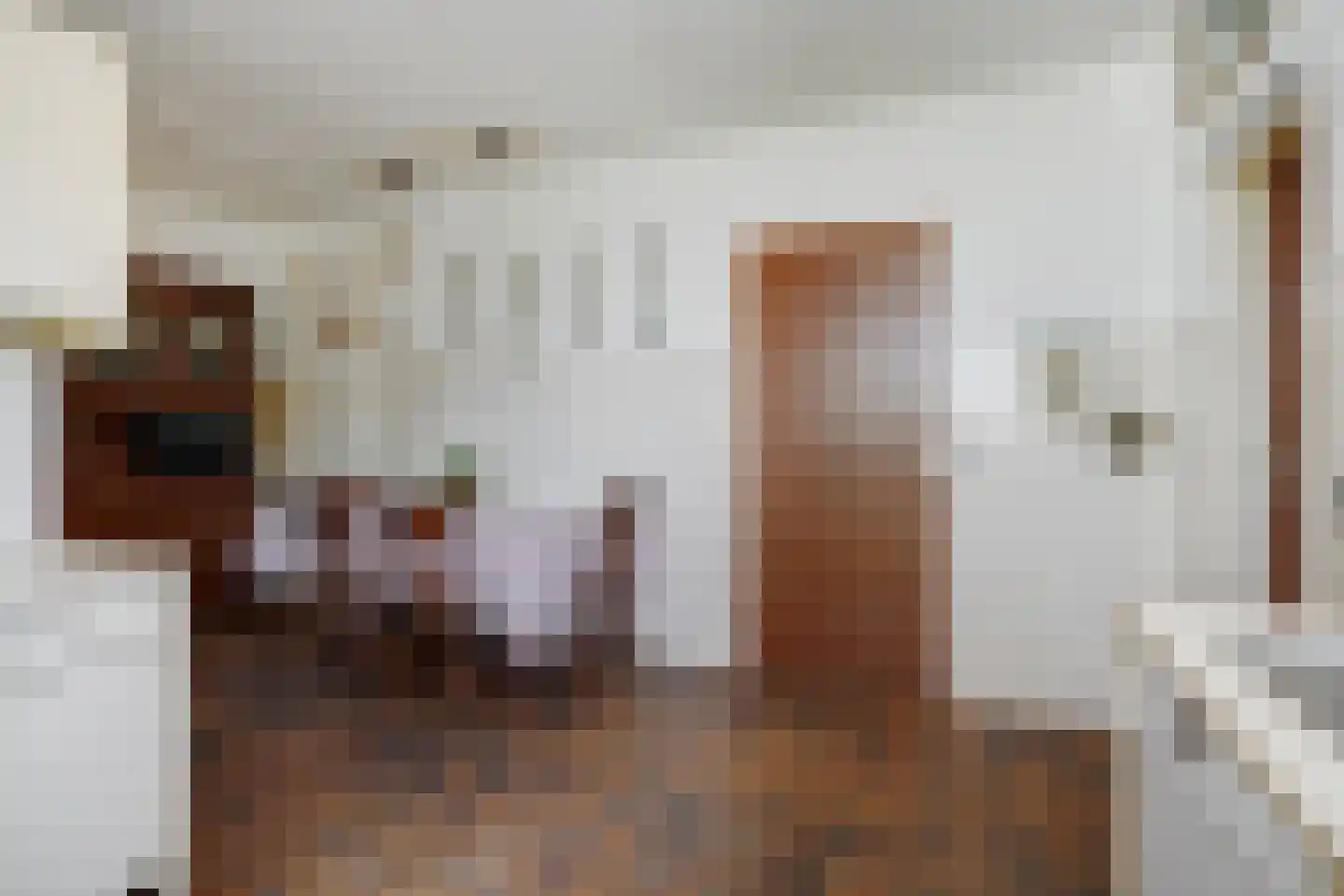 Deltasingel 13 Deurne thumbnail 20