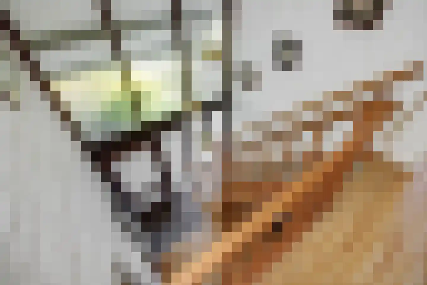 Deltasingel 13 Deurne thumbnail 26