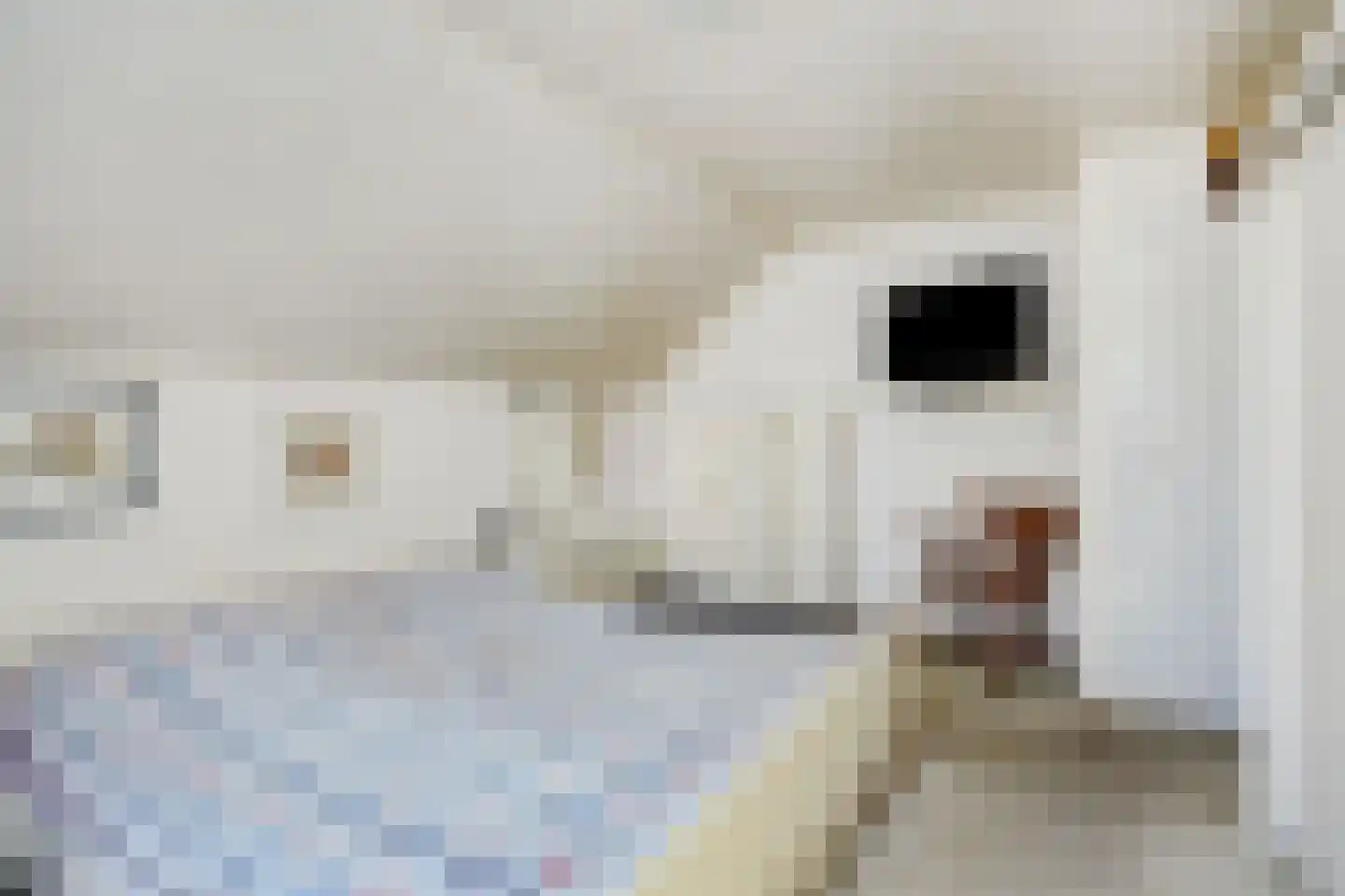 Deltasingel 13 Deurne thumbnail 28
