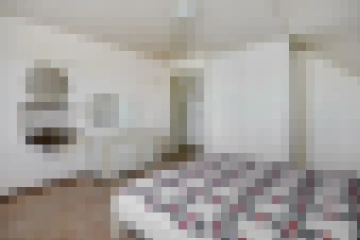Deltasingel 13 Deurne thumbnail 30