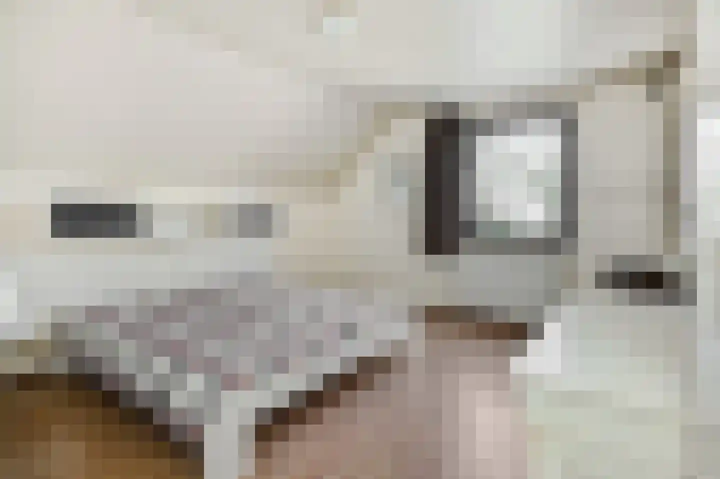 Deltasingel 13 Deurne thumbnail 31