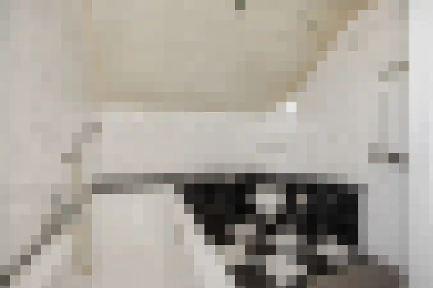 Deltasingel 13 Deurne thumbnail 33