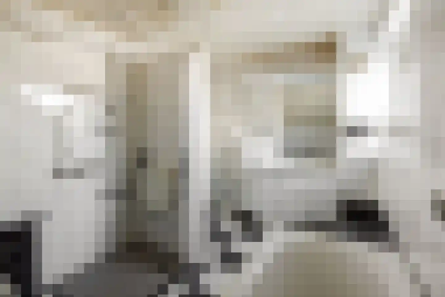 Deltasingel 13 Deurne thumbnail 34