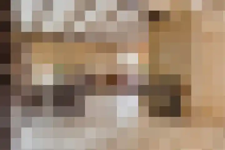 Deltasingel 3 Deurne thumbnail 10