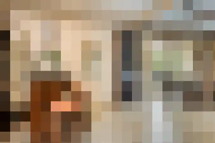 Deltasingel 3 Deurne thumbnail 12