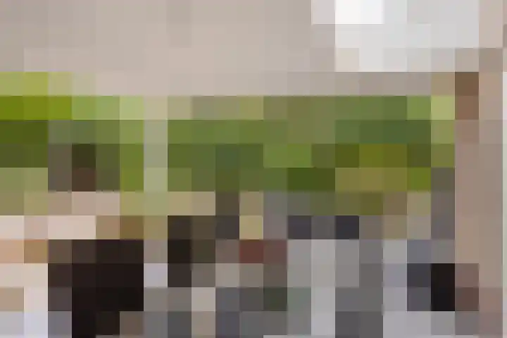 Deltasingel 3 Deurne thumbnail 32