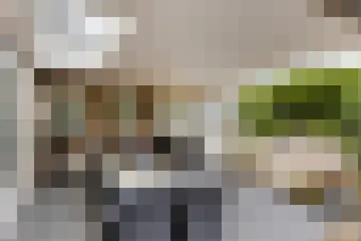 Deltasingel 3 Deurne thumbnail 33