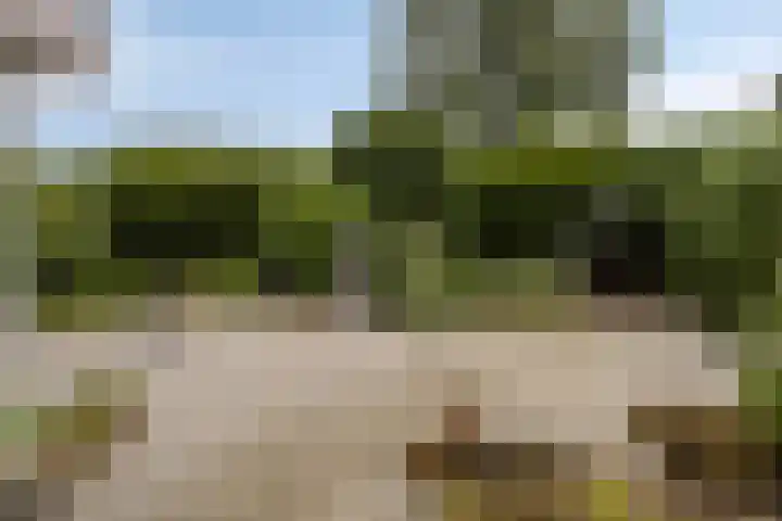 Deltasingel 3 Deurne thumbnail 36