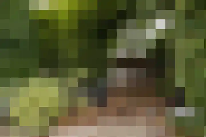 Deltasingel 3 Deurne thumbnail 37