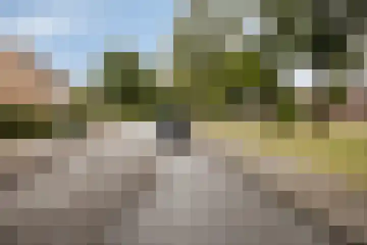 Deltasingel 3 Deurne thumbnail 43