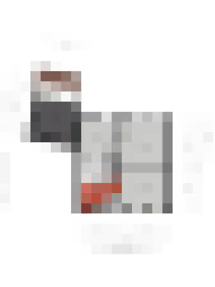 Deltasingel 3 Deurne thumbnail 45