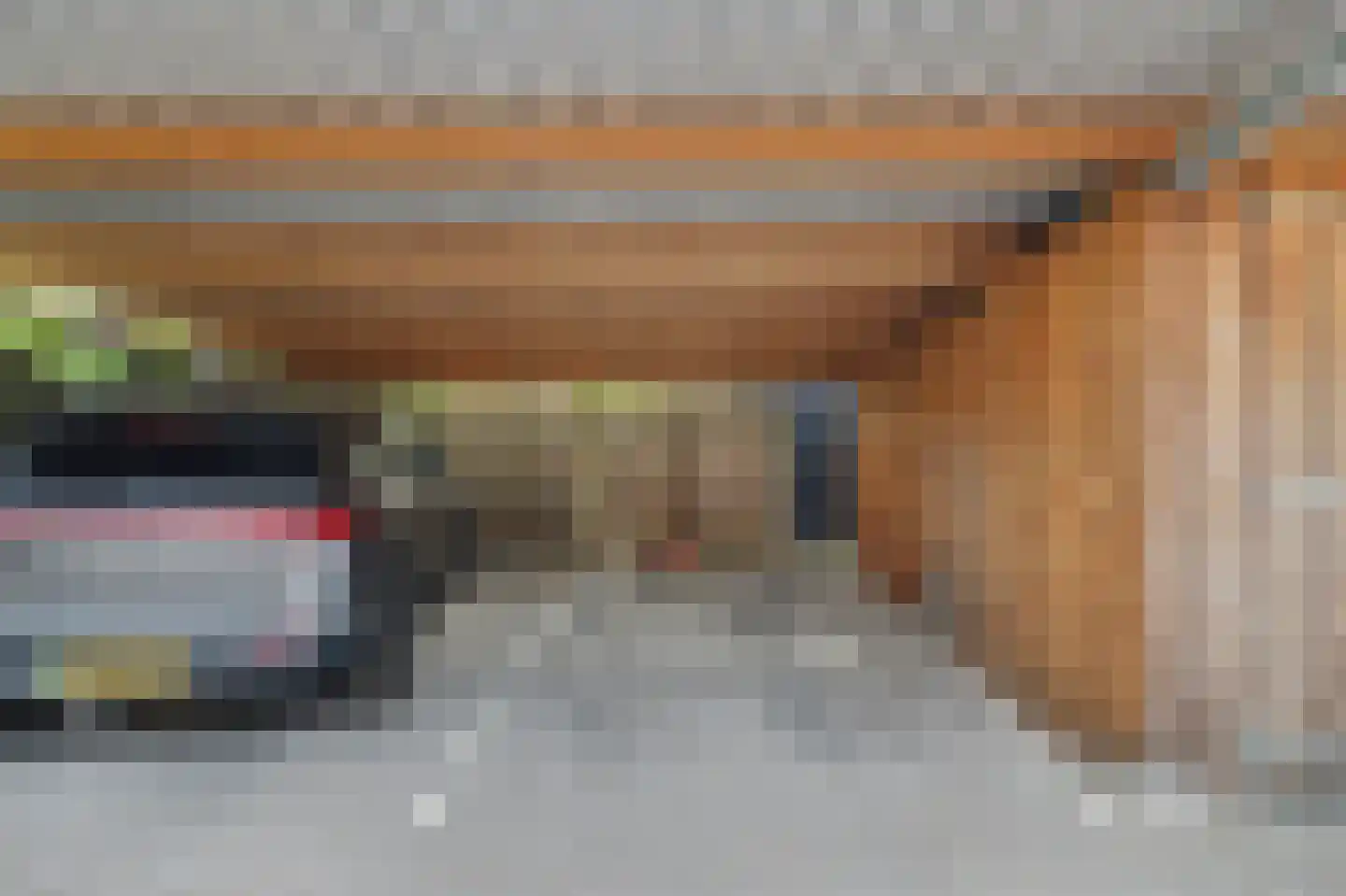 Deltastraat 1 a Nieuwerkerk thumbnail 32