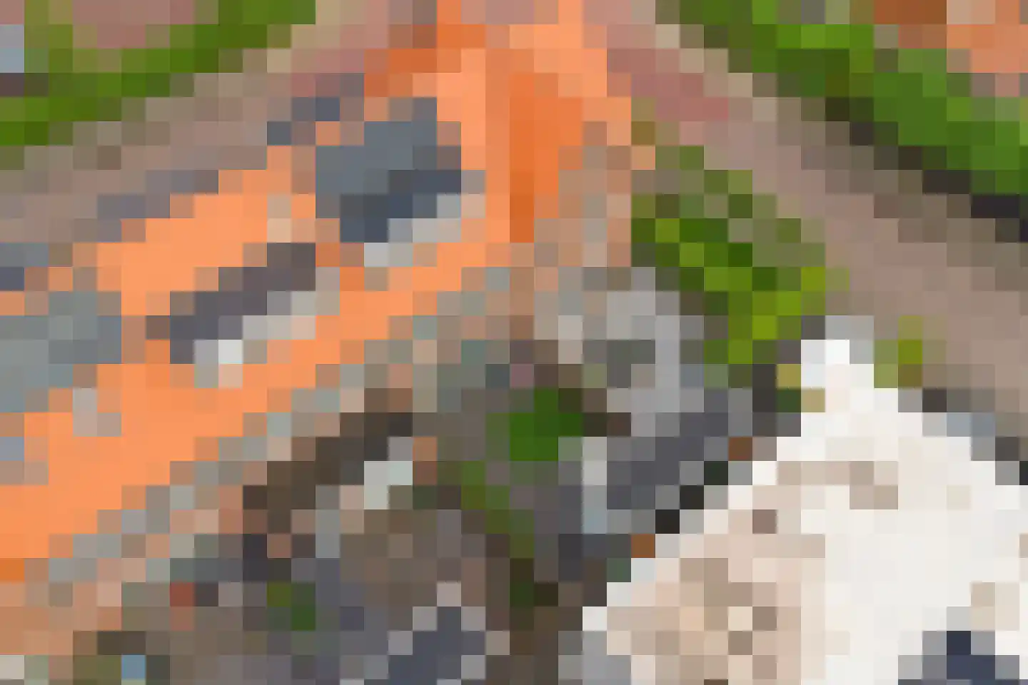 Deltastraat 1 a Nieuwerkerk thumbnail 44