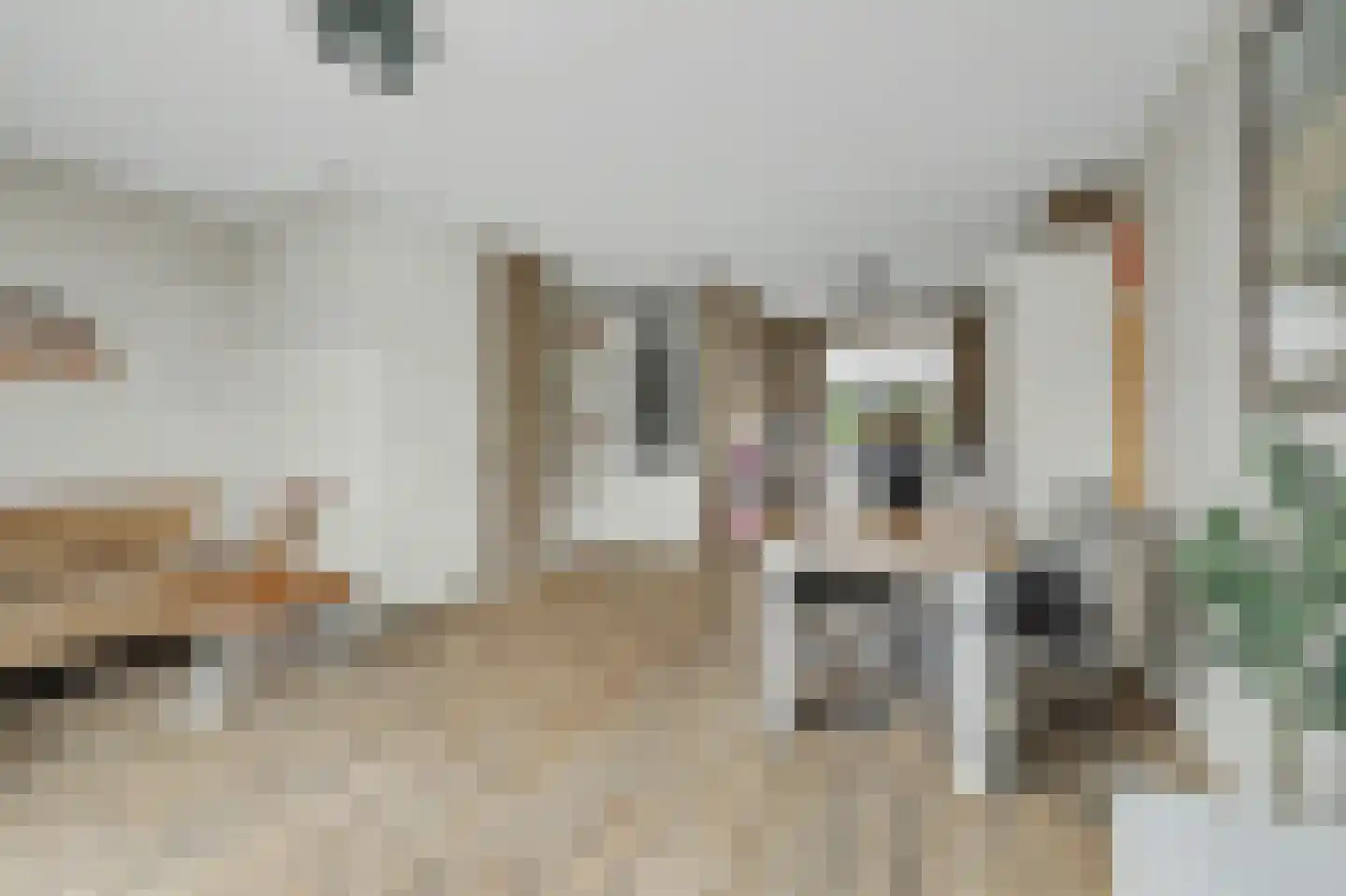Deltastraat 1 a Nieuwerkerk thumbnail 7