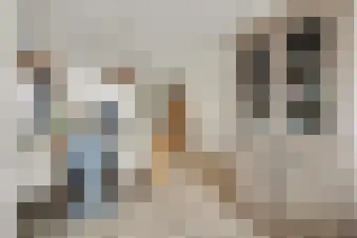 Deltastraat 1 b Nieuwerkerk thumbnail 14