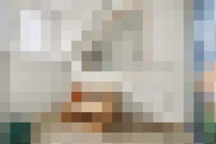 Deltastraat 1 b Nieuwerkerk thumbnail 31